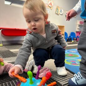 2655ad30-065a-487a-ba8e-144b50525e44