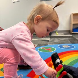 81429893-2348-4f18-b9b9-2fd099b7ad40