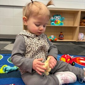 a45dab27-fdd0-46a0-bf8c-42a0e909d0fe